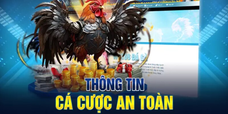 Shbet bảo vệ tối đa thông tin cá nhân