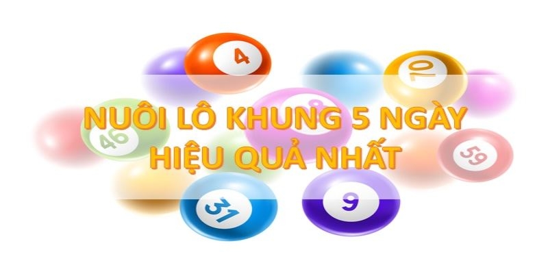 Tìm hiểu cách nuôi bạch thủ lô 5 ngày hiệu quả.